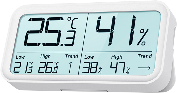 Термогигрометр Ivit-2